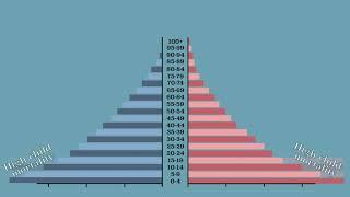 Population pyramid