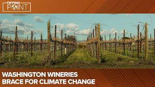 Wine industry braces for climate change