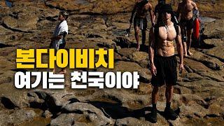 Vlog 본다이비치가 인기가 많은 이유