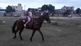 A menina e o cavalo Hellen 