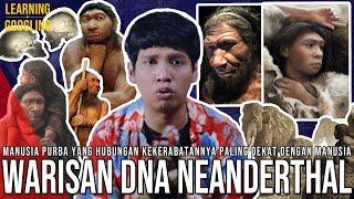 Manusia Purba Yang DNA-nya Ada Di Manusia Modern Sempat Kawin Silang? Neanderthal LearningGoogling