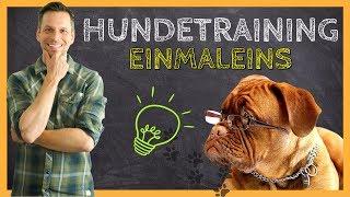 HUNDETRAINING Einmaleins  Grundlagen für eine ERFOLGREICHE Hundeerziehung