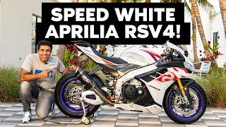 FINAL Look At The Motomillion Aprilia RSV4  Walkaround