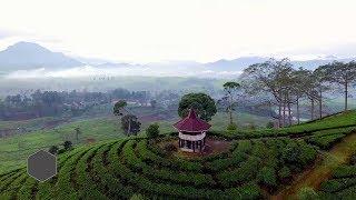 CITY GUIDE PJTV KE AGROWISATA GUNUNG MAS PUNCAK BOGOR Part 2