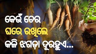 କେଉଁ ଚେର ଘରେ କଳି ଝଗଡ଼ା ଦୂରକରେ  Odia Anuchinta part- 21  B k arts & creations