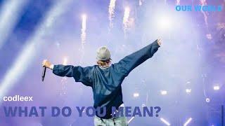 Justin Bieber - What Do You Mean? live Amazon Our World