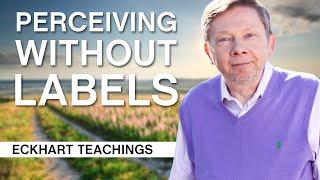 Perceiving Without Labels  Eckhart Tolle Teachings