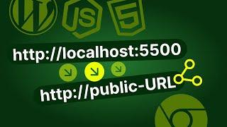 Localhost to Public URL  Share Local Project Globally without Code  Live Client Review