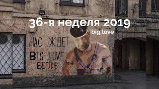 2019№36 выборы кроссовки Hokka SpeedGoat 2 и прочий big love