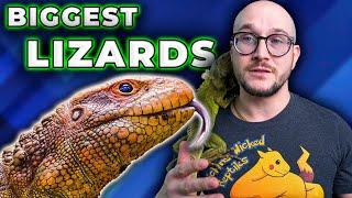 BIG Lizards Are BAD PETS Well Except These 5 AMAZING HUGE Pet Lizards