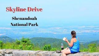 Driving down the Skyline Drive in the Shenandoah National Park.