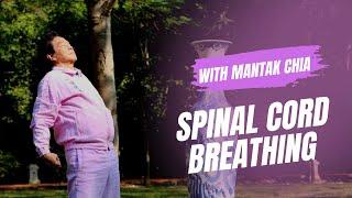 How to do Taoist spinal cord breathing? Spinal cord breathing with Master Mantak Chia