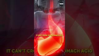  Fat Burner scam  #shorts #ytshorts #short #scam #fatburning #explore