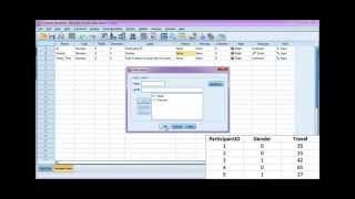 Enter data and define variables in SPSS