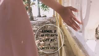 Animal X - Sa Pot Ierta Jay Ko & Motiv Remix