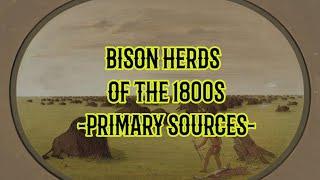 Bison Herds of the 1800s - Primary Sources