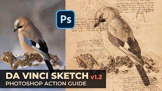 Da Vinci Sketch v1.2 Photoshop Action Guide