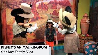 One Day Itinerary at Disneys Animal Kingdom #DisneyWorld #AnimalKingdom #travelvlog #wdw