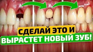Старый зубник Нам запретили про такое рассказывать Как вырастить новые зубы в любом возрасте
