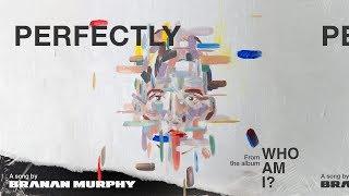 Branan Murphy - Perfectly Visualizer