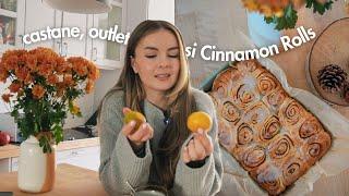 VLOG  Un struggle de-al meu  Rețetă Cinnamon Rolls castane coapte & OUTLET Germania