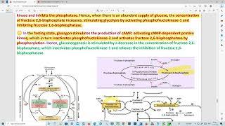 Gluconeogenesis Part 3