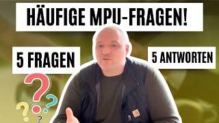 5 häufige MPU Fragen erklärt So kannst du reagieren und antworten