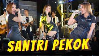 Shinta Arsinta - SANTRI PEKOK Official Music Video ANEKA SAFARI