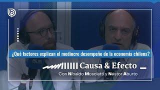 Causa y Efecto ¿Qué factores explican el mediocre desempeño de la economía chilena?