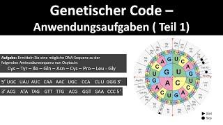 Genetischer Code  Code Sonne - Anwendungsaufgaben Teil 1 - Biologie Genetik Abitur