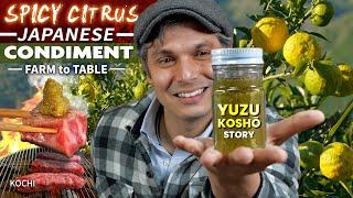 Japanese Spicy Citrus Condiment not Wasabi?  Yuzu Kosho Story  ONLY in JAPAN