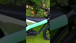 Electric motorcycle for kids