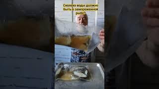 Сколько воды должно быть в мороженой рыбе? #shorts