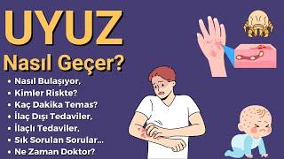 Uyuz Hastalığı Nasıl Geçer Belirtileri Neler?