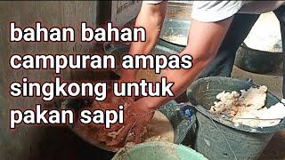 Ampas singkong untuk pakan sapi