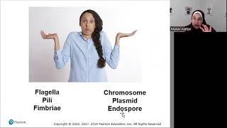 Chapter 3 Part 22 - Cell Structure and Function