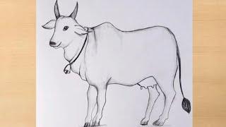 How to draw Cow easy for beginners step by stepanimal drawing