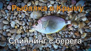 Рыбалка в Крыму. Спиннинг с берега. Черное море 2020