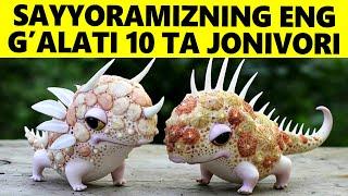 Sayyoradagi Eng Galati 10 Ta Jonivor