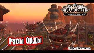 World of Warcraft Shadowlands - Катсцена Расы Орды Остров изгнанников