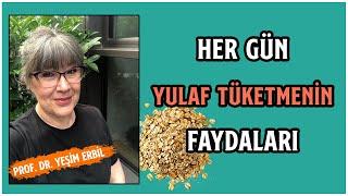 Her Gün Yulaf Yersek Ne Olur?  Yulafın Mucize Faydaları