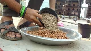 Easy Bonsai Soil Mix  সহজেই তৈরি করুন বনসাই এর মাটি