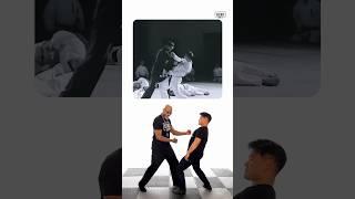 How Legit is Ip Man’s Chain Punch Finisher? #shorts