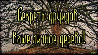 ГОРОСКОП ДРУИДОВ Секреты друидов - ваше личное дерево Легенды и мифы