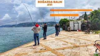 Boğazda istavrit avı - olta ile balık avı - yeni 2023