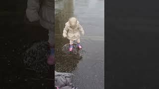 Gracie loves a puddle #puddle #jumpinginpuddles #muddypuddles #letthembelittle #mess #makingmemories