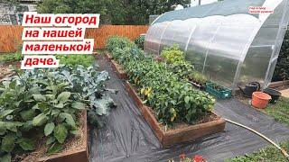 Our garden at the dacha is a greenhouse beds. What and how grows in our garden.