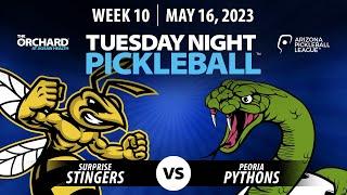 AZ PBL Surprise Stingers vs Peoria Pythons  Tue May 16 Season 1 Week 10