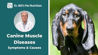 Canine Muscle Diseases  Symptoms & Causes  Dr. Bills Pet Nutrition