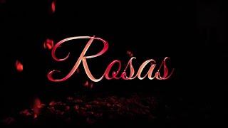 Grupo Arriesgado - Rosas Lyrics Video